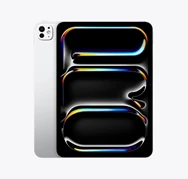 İpad Pro Gümüş 256 GB