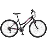 SALCANO EXCEL LAYD 26 V Mor