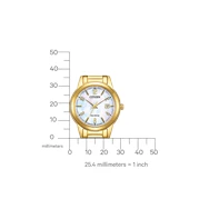 Citizen FE1242-78D Eko-Drive Sedef Kadranlı Çelik Kordon Çelik Kasa  Altın Renk Kadın Kol Saati Çok Renkli	