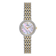 Essence D1237.220 Minimal Taşlı Tasarım Çelik Kordon Çelik Kasa 3 ATM Suya Dayanıklı Metalik-Altın Renk Kadın Kol Saati Çok Renkli	