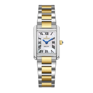 Essence ES6961FE.220 Dikdörtgen Kasa 5 Atm Suya Dayanıklı Metalik-Altın Renk Kadın Kol Saati Çok Renkli	