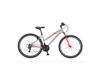 Salcano City Explorer V Unisex Şehir Bisikleti Gri