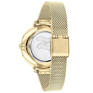 TOMMY HILFIGER TH1782164 Gold