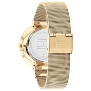 TOMMY HILFIGER TH1782539 Gold
